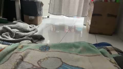 gab021593 online show from January 16, 2026, 3:38 pm