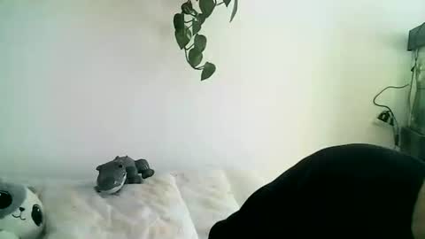 Snapshot of gaelgarcia07 chatting on February 11, 2026, 6:02 pm Gael Garca online show from February 11, 2026, 6:02 pm