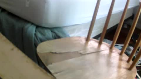 Snapshot of gallo902 chatting on July 25, 2026, 8:28 pm gallo902 online show from July 25, 2026, 8:28 pm