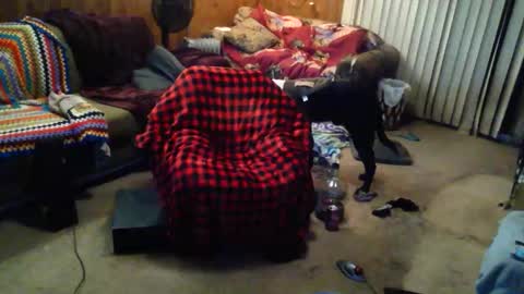 gamerfiend420 online show from October 17, 2025, 1:53 am