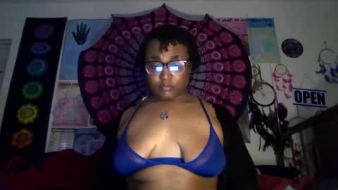 Gardenia online show from March 15, 2026, 8:31 am