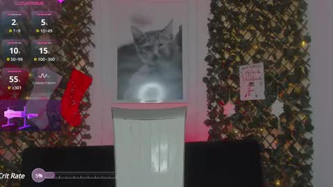 Snapshot of geminis_grey chatting on January 21, 2025, 6:54 am Geminis online show from January 21, 2025, 6:54 am