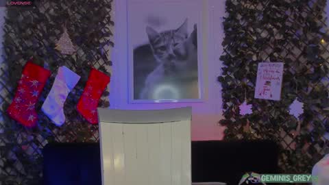 Snapshot of geminis_grey chatting on February 26, 2025, 4:14 am Geminis online show from February 26, 2025, 4:14 am