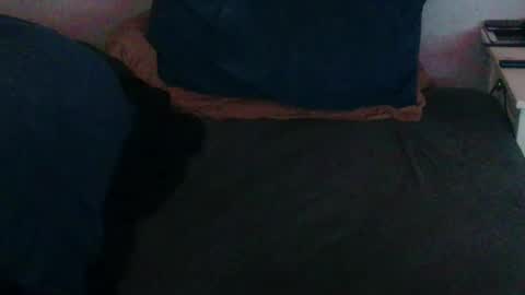 Snapshot of geminix22 chatting on November 30, 2025, 6:17 am MrMiller online show from November 30, 2025, 6:17 am