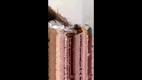 gemstar33184100 online show from April 9, 2026, 5:07 am