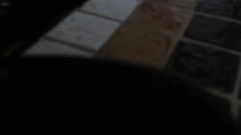 gene online show from December 31, 2024, 7:29 pm