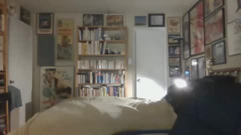 Snapshot of gentcallr chatting on November 26, 2025, 7:42 am Steve online show from November 26, 2025, 7:42 am