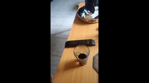 gergokertesz online show from December 24, 2024, 12:55 pm