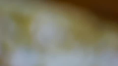 germanandy71 online show from November 3, 2025, 1:34 pm