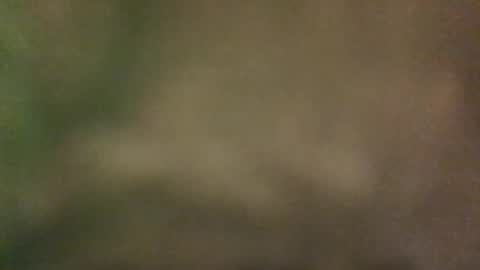 Snapshot of getfucked321jake chatting on January 13, 2025, 9:09 pm getfucked321jake online show from January 13, 2025, 9:09 pm