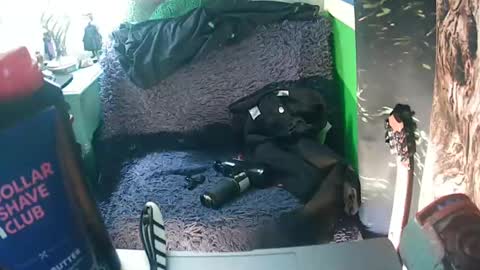 Snapshot of getfucked321jake chatting on January 16, 2025, 12:31 pm getfucked321jake online show from January 16, 2025, 12:31 pm