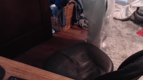 Snapshot of gethoggy chatting on January 25, 2025, 4:35 pm gethoggy online show from January 25, 2025, 4:35 pm