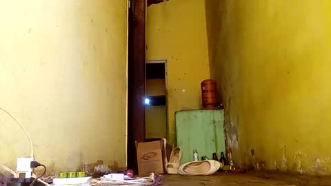 Gaby online show from November 14, 2025, 6:50 pm