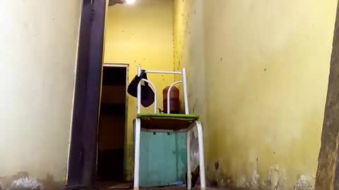 Snapshot of ghabriel7777788 chatting on February 23, 2026, 2:58 pm Gaby online show from February 23, 2026, 2:58 pm