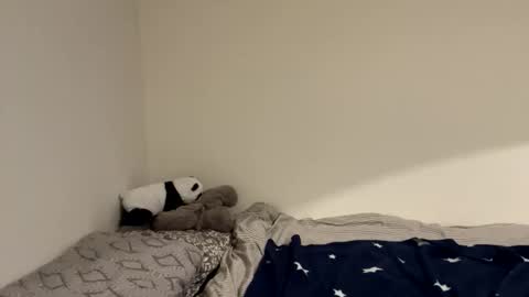 Snapshot of ghostpetal chatting on December 18, 2025, 12:17 am ghostpetal online show from December 18, 2025, 12:17 am