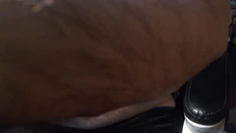 Snapshot of gianni9000000 chatting on February 5, 2026, 2:43 pm Gianni9000000 online show from February 5, 2026, 2:43 pm