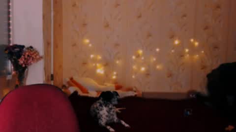 Snapshot of gigachocolad chatting on December 20, 2024, 11:37 pm Emm online show from December 20, 2024, 11:37 pm