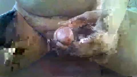 girafsnoop online show from November 22, 2025, 9:08 am