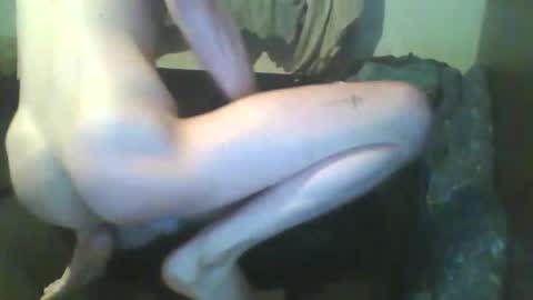 Snapshot of girthdoctor chatting on December 3, 2025, 1:02 am girthdoctor online show from December 3, 2025, 1:02 am