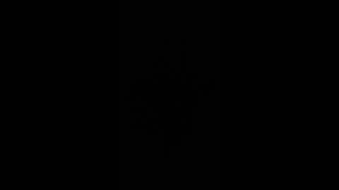 Snapshot of gjpj1 chatting on February 26, 2026, 12:59 pm gjpj1 online show from February 26, 2026, 12:59 pm