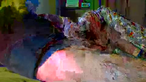 guybuzz online show from December 18, 2024, 5:10 pm