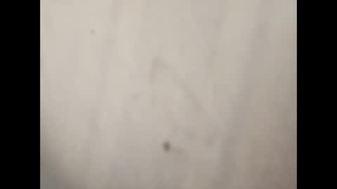 Snapshot of gman3883 chatting on January 7, 2025, 7:38 pm Gman online show from January 7, 2025, 7:38 pm