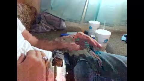 Snapshot of gman3883 chatting on March 12, 2025, 1:51 pm Gman online show from March 12, 2025, 1:51 pm