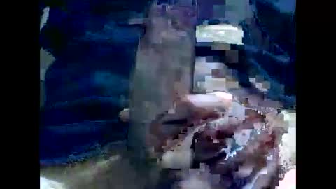 PencilDick online show from December 2, 2024, 8:30 am