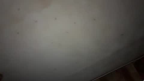 Snapshot of godseekingatheist chatting on November 9, 2025, 1:59 am godseekingatheist online show from November 9, 2025, 1:59 am