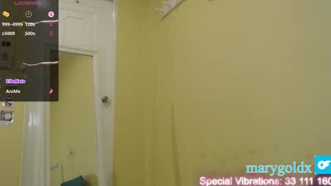 Snapshot of gold_mary_ chatting on January 25, 2025, 11:34 am Mary online show from January 25, 2025, 11:34 am