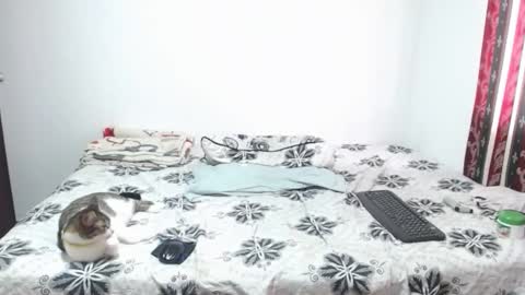 Snapshot of gold_shooter chatting on March 12, 2026, 2:56 pm gold_shooter online show from March 12, 2026, 2:56 pm