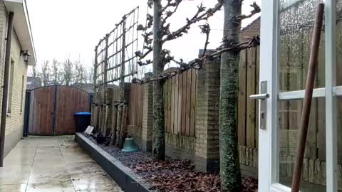   online show from December 23, 2024, 12:41 pm