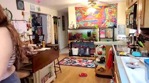 Snapshot of goodgirlcelestecat chatting on November 21, 2025, 4:05 pm goodgirlcelestecat online show from November 21, 2025, 4:05 pm