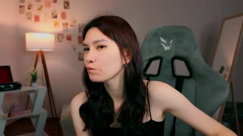 Snapshot of goofysteel chatting on May 29, 2026, 12:14 pm Sarra online show from May 29, 2026, 12:14 pm