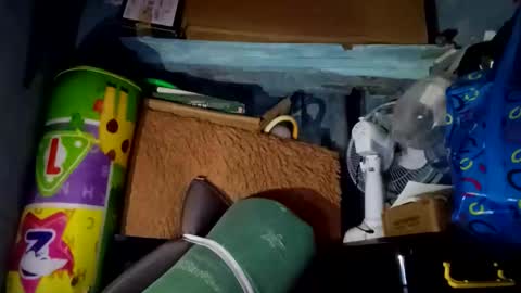 Snapshot of gorgeouspinay_babe chatting on February 21, 2026, 8:37 am GorgeousPinay babe online show from February 21, 2026, 8:37 am