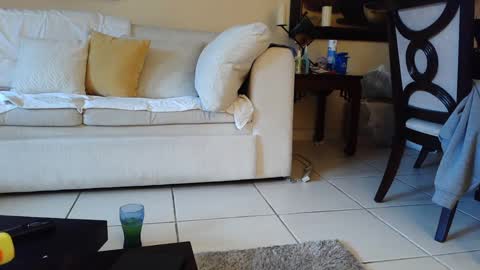 Snapshot of gothbaby305 chatting on September 16, 2025, 5:58 pm gothbaby305 online show from September 16, 2025, 5:58 pm