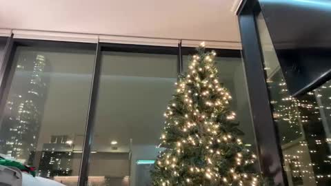 Snapshot of graciemae_baexx chatting on December 3, 2025, 11:36 pm Gracie Mae online show from December 3, 2025, 11:36 pm