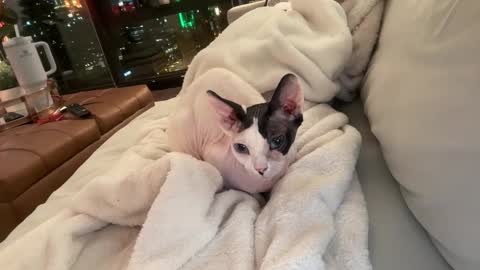 Snapshot of graciemae_baexx chatting on December 23, 2025, 3:48 am Gracie Mae online show from December 23, 2025, 3:48 am