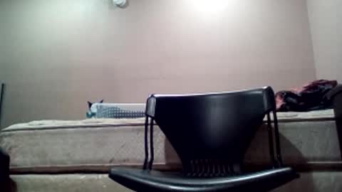 Snapshot of greeneyedcutie chatting on February 19, 2026, 12:56 pm Jack online show from February 19, 2026, 12:56 pm