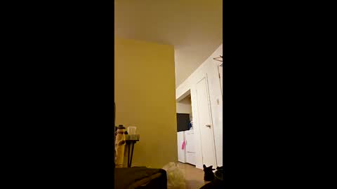 Snapshot of greenvertgo chatting on December 15, 2025, 12:59 am greenvertgo online show from December 15, 2025, 12:59 am