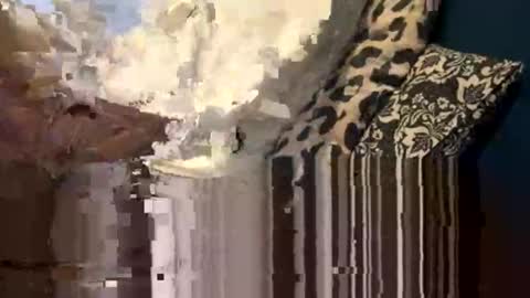 greymen2020 online show from February 16, 2026, 6:04 pm