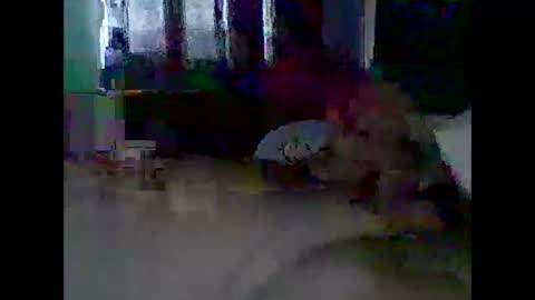 Snapshot of grittslappa chatting on November 11, 2025, 12:21 am grittslappa online show from November 11, 2025, 12:21 am