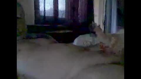 Snapshot of grittslappa chatting on November 14, 2025, 12:42 am grittslappa online show from November 14, 2025, 12:42 am