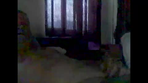 Snapshot of grittslappa chatting on December 14, 2025, 3:12 am grittslappa online show from December 14, 2025, 3:12 am