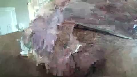 Snapshot of grumpymonk156 chatting on May 18, 2026, 7:09 pm deviant156 online show from May 18, 2026, 7:09 pm