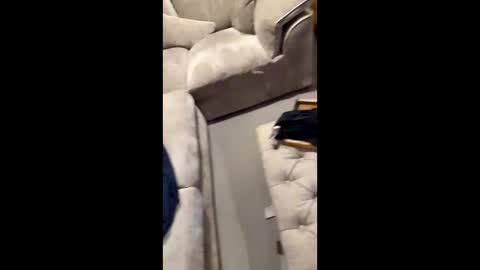 gt79802068 online show from November 11, 2025, 7:03 pm