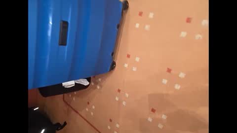 Snapshot of gubighot chatting on January 20, 2025, 10:48 pm GuBigHot online show from January 20, 2025, 10:48 pm