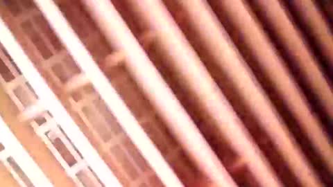 Gu online show from January 9, 2025, 6:59 am