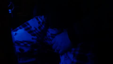 H2omygod online show from January 25, 2025, 9:26 am