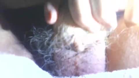 Snapshot of hagridthehorrible chatting on January 11, 2026, 6:57 pm hagridthehorrible online show from January 11, 2026, 6:57 pm